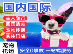 上海空运公司国际宠物托运 【国